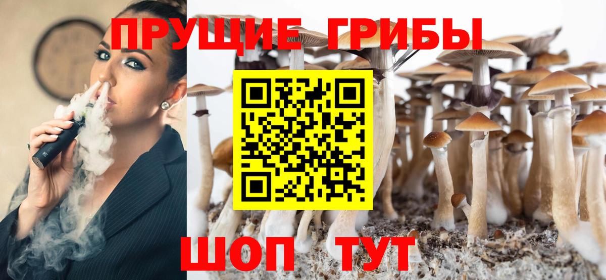 Галлюциногенные грибы Magic Shrooms  Вход с VPN  Узловая  Галлюциногенные грибы Psilocybe 