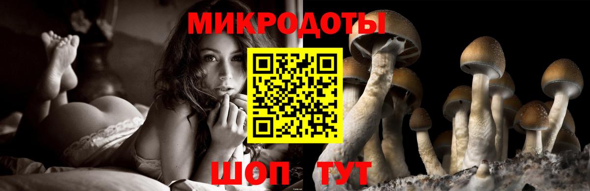 Псилоцибиновые грибы Magic Shrooms Узловая